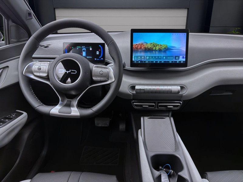 Bild 12: BYD DOLPHIN SURF BOOST NAVI KLIMA LM16 KAMERA PDC