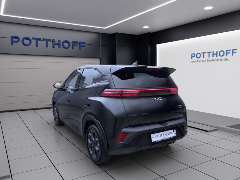 Bild 1: BYD DOLPHIN SURF BOOST NAVI KLIMA LM16 KAMERA PDC