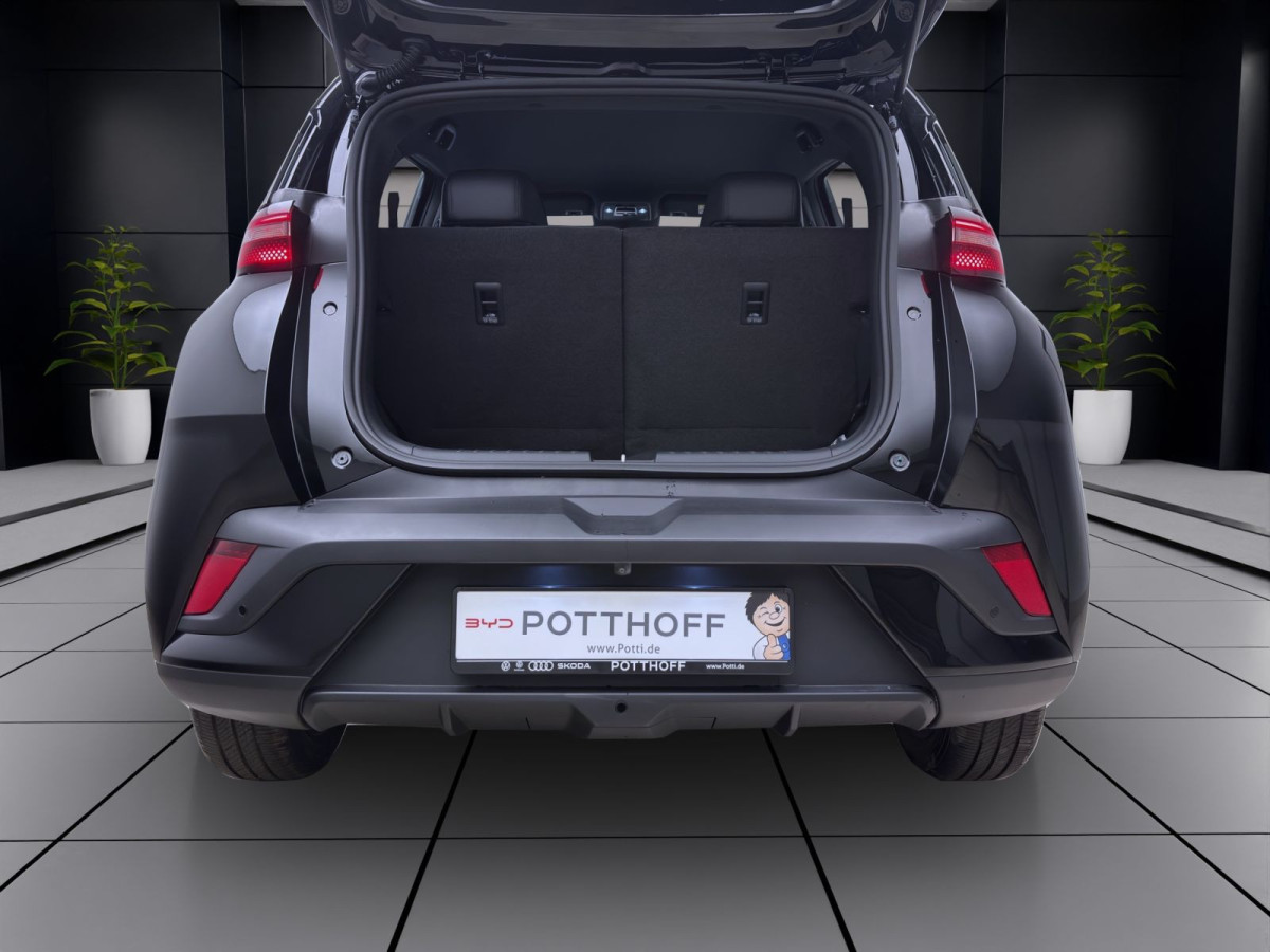 Thumb 3: BYD DOLPHIN SURF BOOST NAVI KLIMA LM16 KAMERA PDC