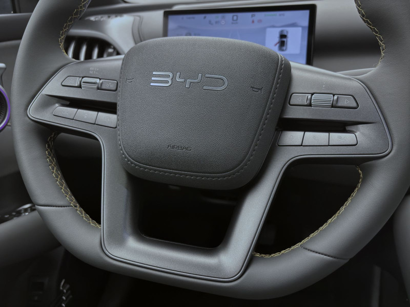 Bild 10: BYD ATTO 3 EVO EXCELLENCE PANO NAVI ACC KLIMA SHZG