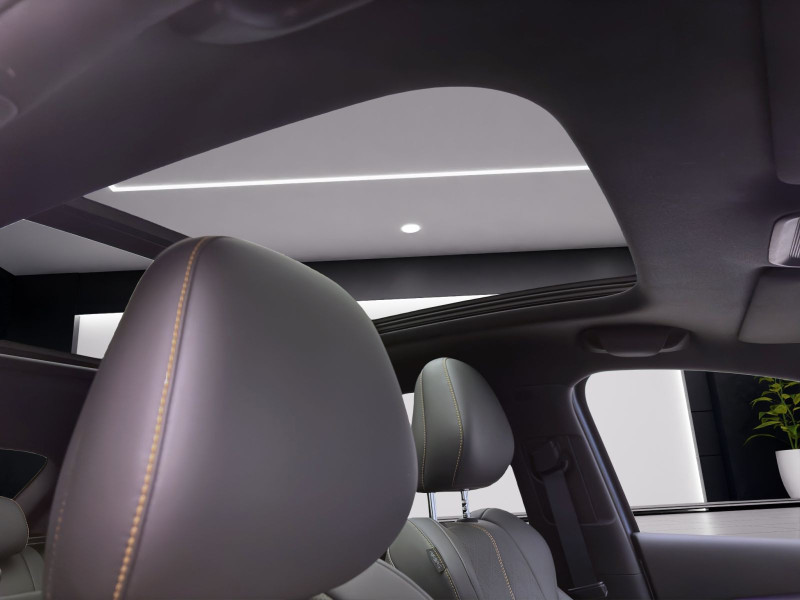 Bild 15: BYD ATTO 3 EVO EXCELLENCE PANO NAVI ACC KLIMA SHZG