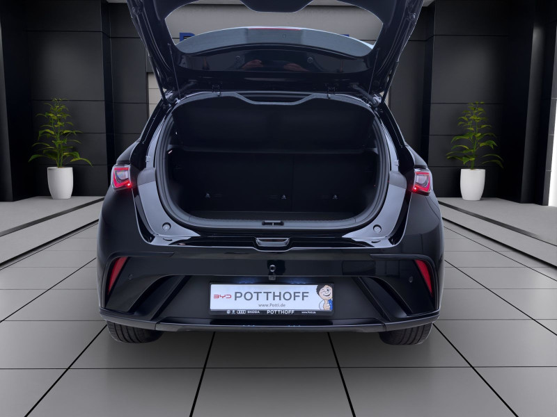 Bild 3: BYD DOLPHIN COMFORT NAVI SHZG LM17 360* PDC