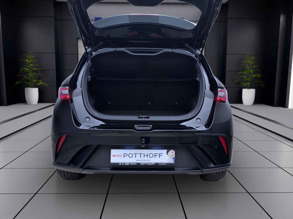 Thumb 3: BYD DOLPHIN COMFORT NAVI SHZG LM17 360* PDC