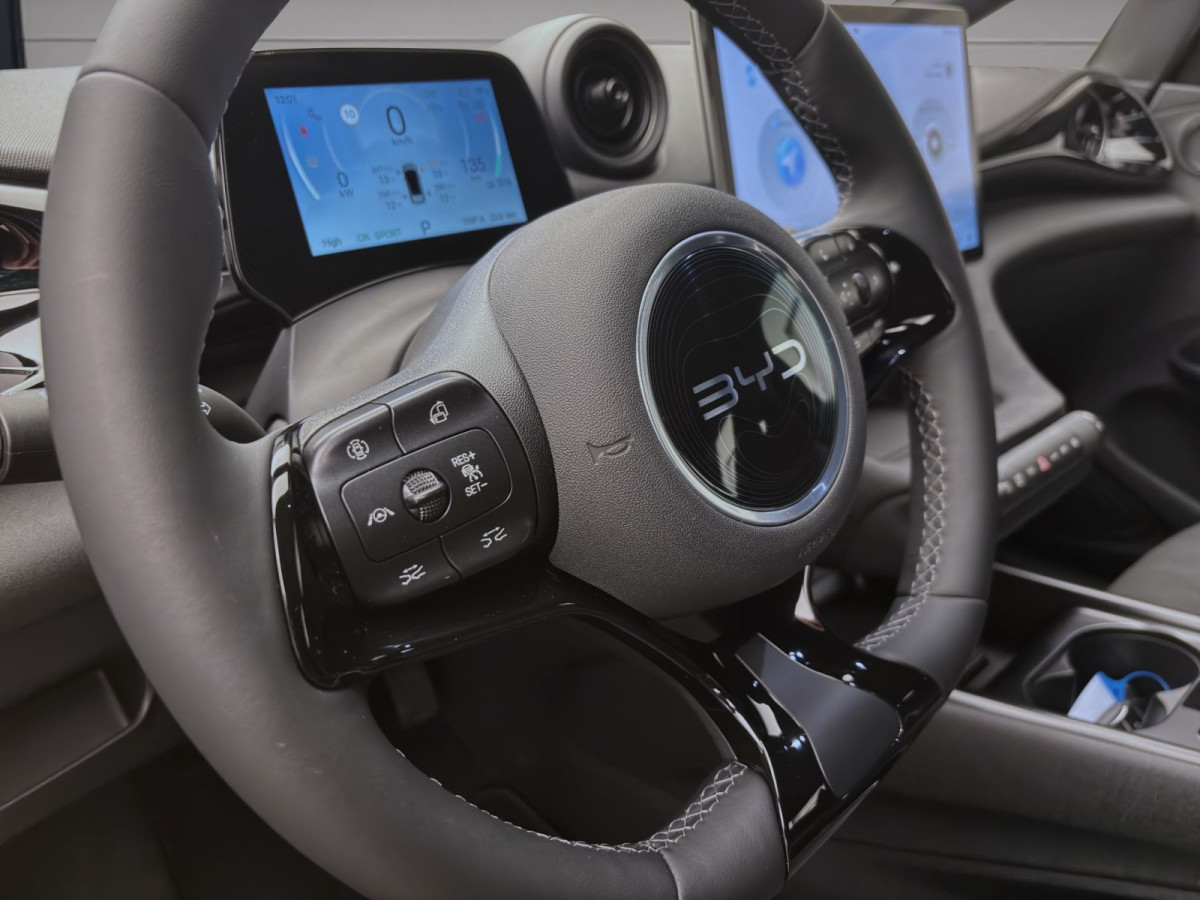 Thumb 11: BYD DOLPHIN COMFORT NAVI SHZG LM17 360* PDC