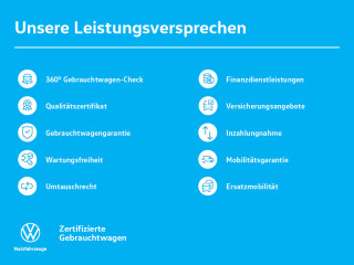 Fahrzeugbild eines Volkswagen T7 Multivan in blau.