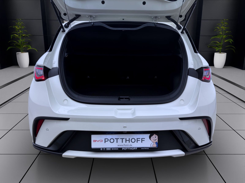 Bild 3: BYD Dolphin COMFORT NAVI SHZG LM17 360* PDC