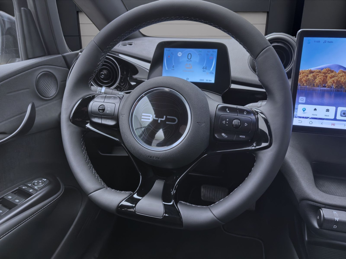 Thumb 10: BYD Dolphin COMFORT NAVI SHZG LM17 360* PDC