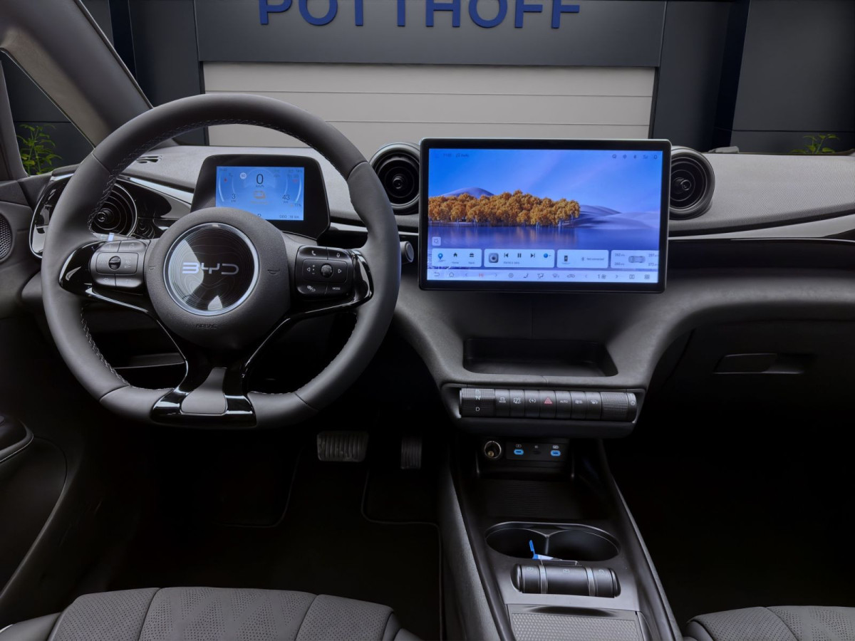 Thumb 12: BYD Dolphin COMFORT NAVI SHZG LM17 360* PDC