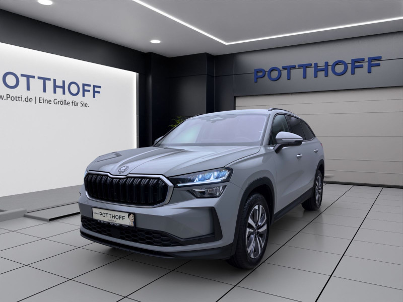 Bild 0: Škoda KODIAQ SELECTION AHK NAV KAM pACC WINTER SPURWECHSEL