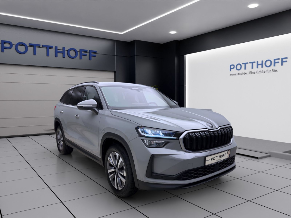 Thumb 5: Škoda KODIAQ SELECTION AHK NAV KAM pACC WINTER SPURWECHSEL