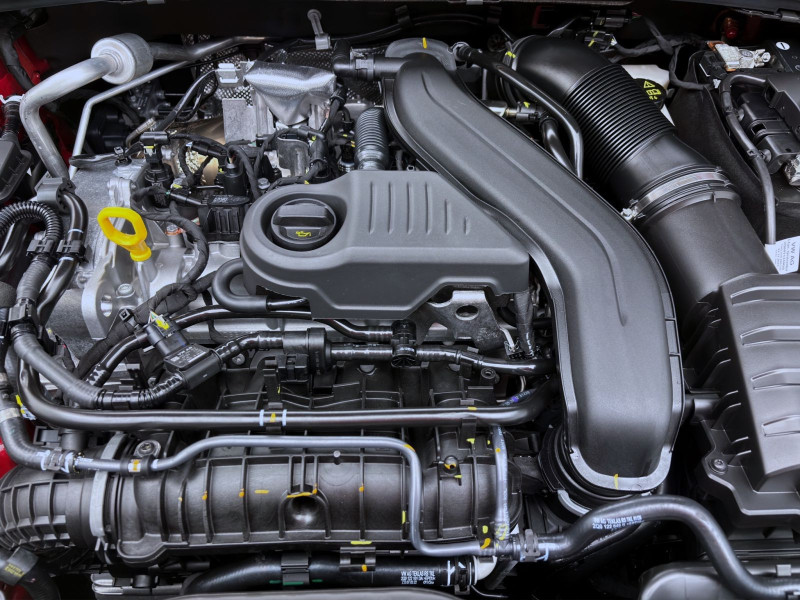 Bild 17: Škoda FABIA MONTE CARLO DSG ACC KAM LICHT&SICHT WINTER+