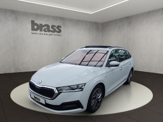 Škoda Octavia Combi Ambition 2.0 TDI Panoramadach Anhängerkupplung