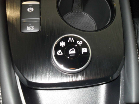 Ansicht 16 - Gebrauchtwagen Fahrzeug, Modell X-Trail der Marke Nissan von Verkäufer Autohaus Bleicher GmbH