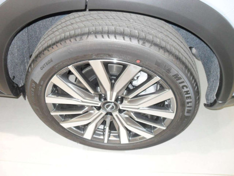 Ansicht 22 - Gebrauchtwagen Fahrzeug, Modell X-Trail der Marke Nissan von Verkäufer Autohaus Bleicher GmbH