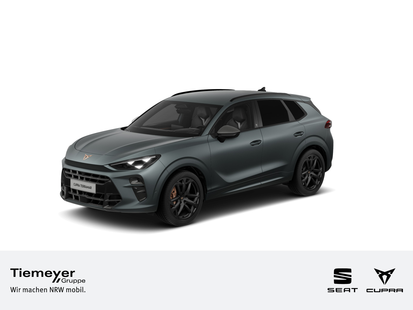 Cupra Terramar 2.0 TSI