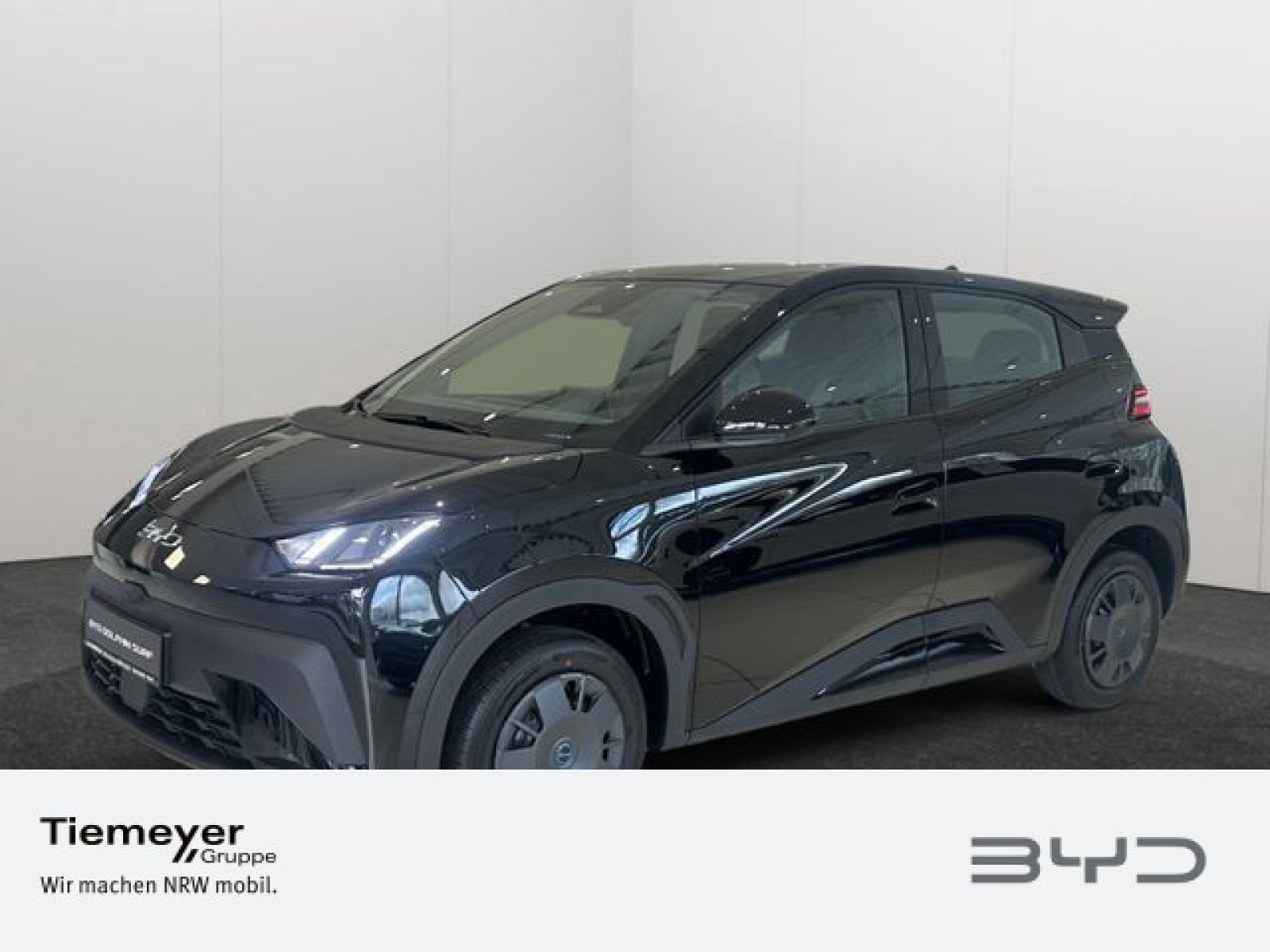 BYD DOLPHIN SURF Active