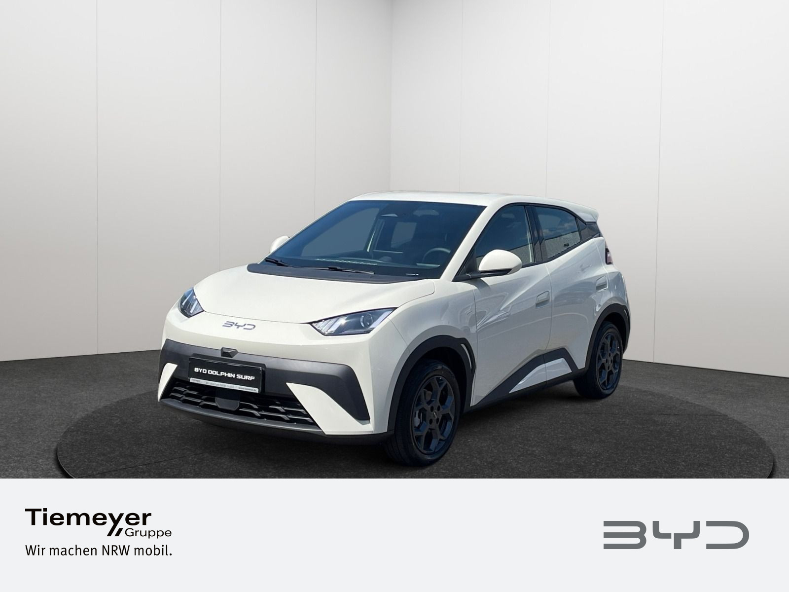 BYD DOLPHIN SURF Boost