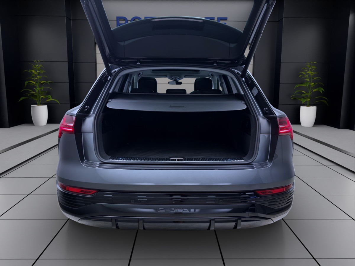 Thumb 4: Audi Q8 e-tron 50 Q S LINE PANO MATRIX NAVI B&O VIRTUAL