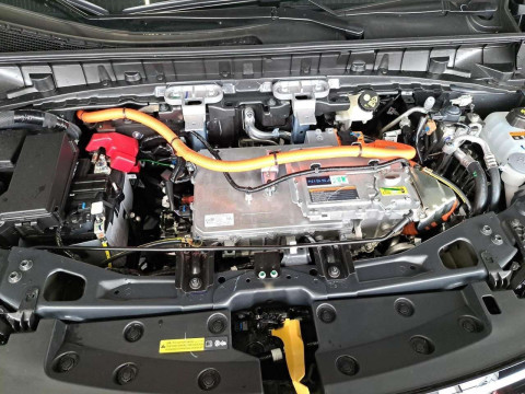 Ansicht 17 - Neuwagen Fahrzeug, Modell Leaf der Marke Nissan von Verkäufer AH Brüggemann GmbH & Co. KG