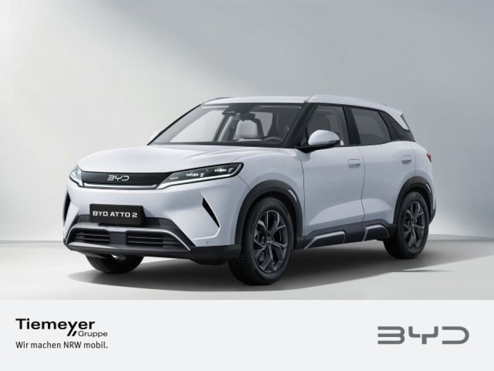 BYD ATTO 2 BYD