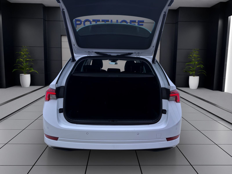 Bild 4: Škoda Octavia Combi 2.0 TDI DSG STYLE PANO AHK NAVI PDC