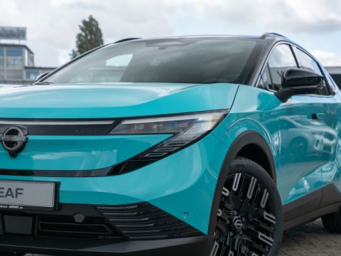 Ansicht 6 - Gebrauchtwagen Fahrzeug, Modell Leaf der Marke Nissan von Verkäufer Autohaus Stein GmbH