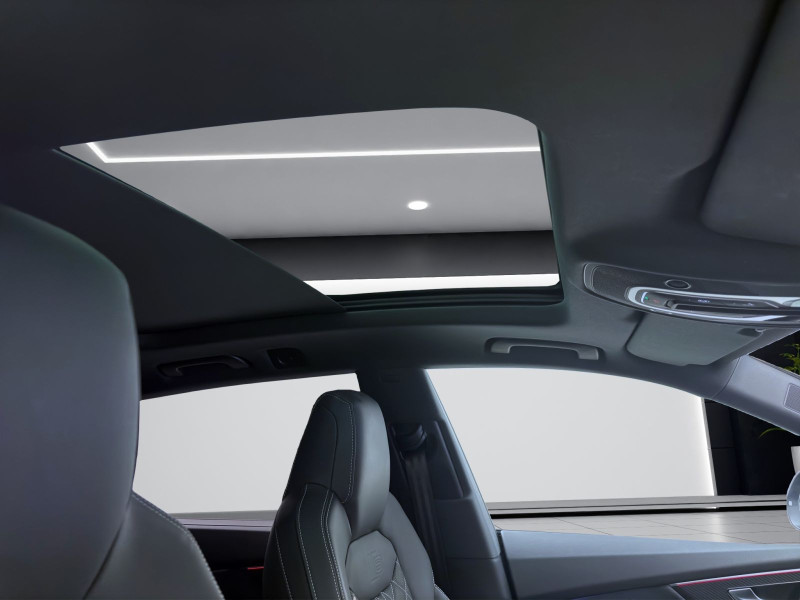 Bild 17: Audi Q8 TDI Q S LINE STDHZG PANO AHK HD-MATRIX B&O HuD