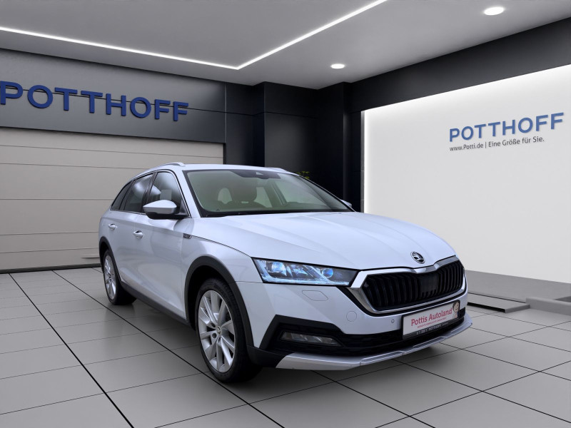 Bild 6: Škoda Octavia Combi 2.0 TDI DSG 4x4 SCOUT PANO MATRIX AHK PDC