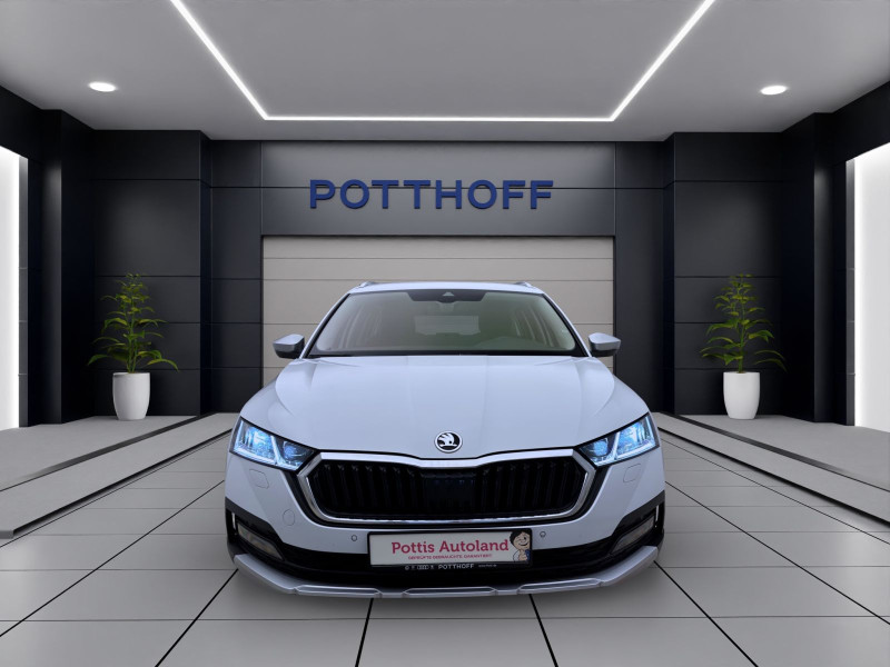 Bild 7: Škoda Octavia Combi 2.0 TDI DSG 4x4 SCOUT PANO MATRIX AHK PDC