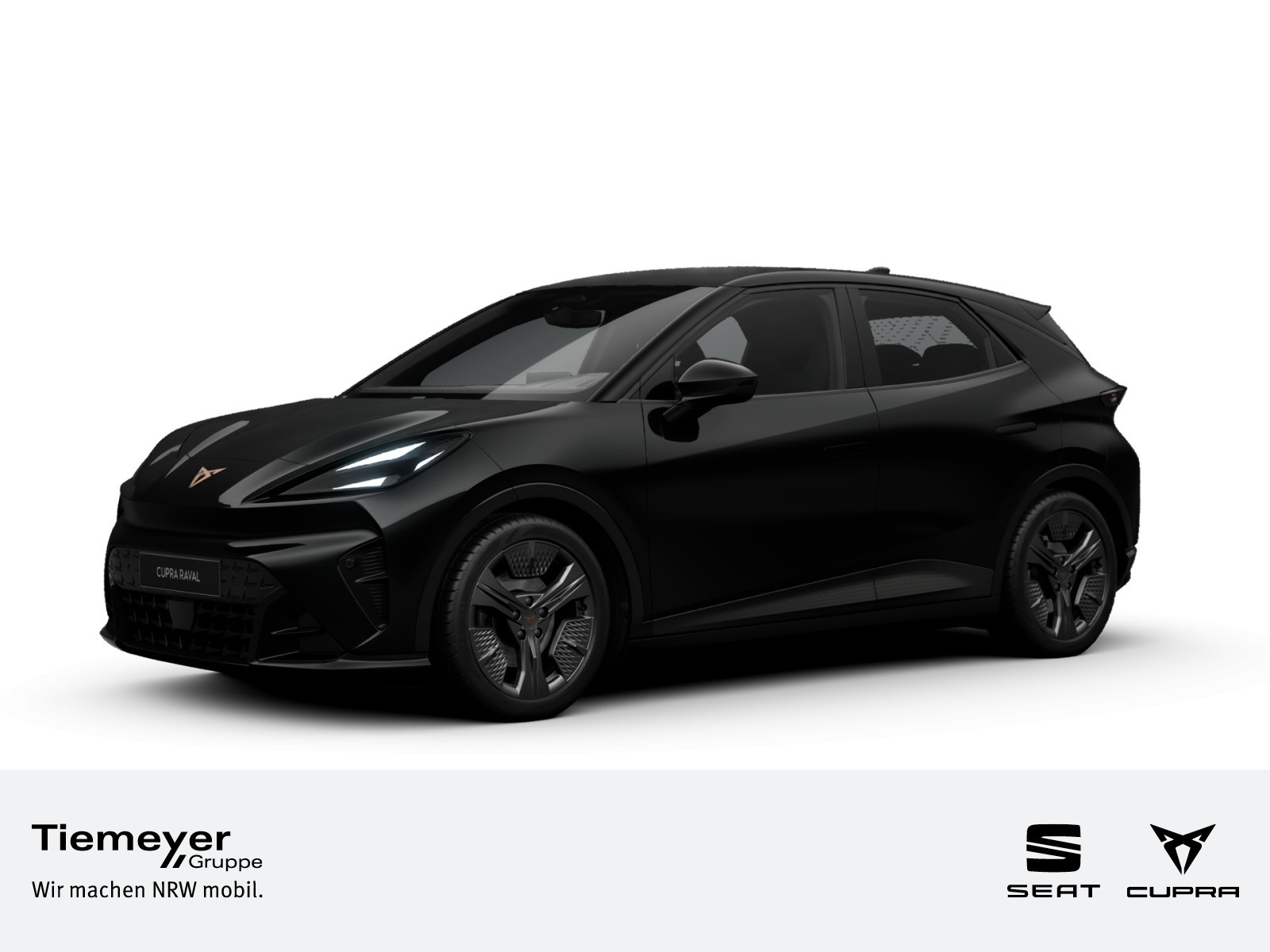 Cupra Raval Endurance Edition