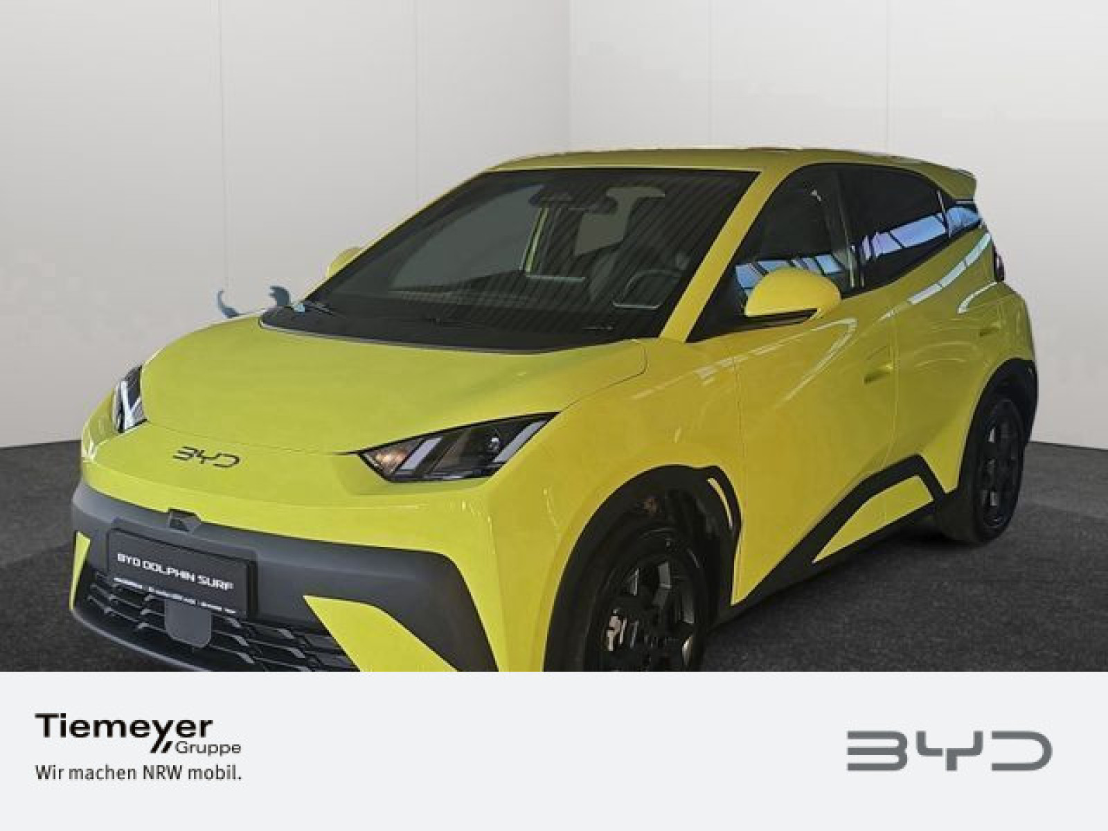 BYD DOLPHIN SURF MJ BYD DOLPHIN SURF MJ