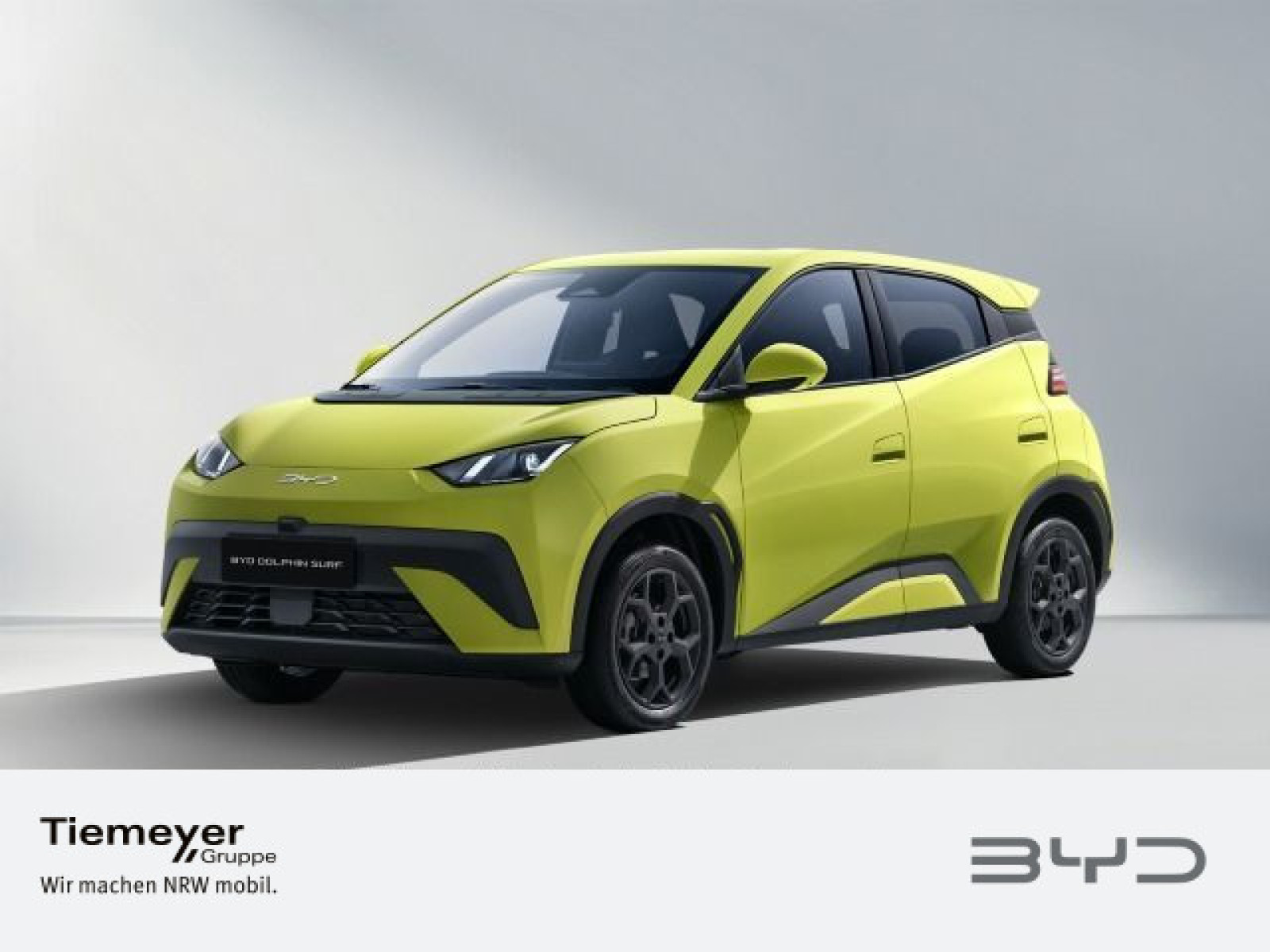 BYD DOLPHIN SURF MJ26