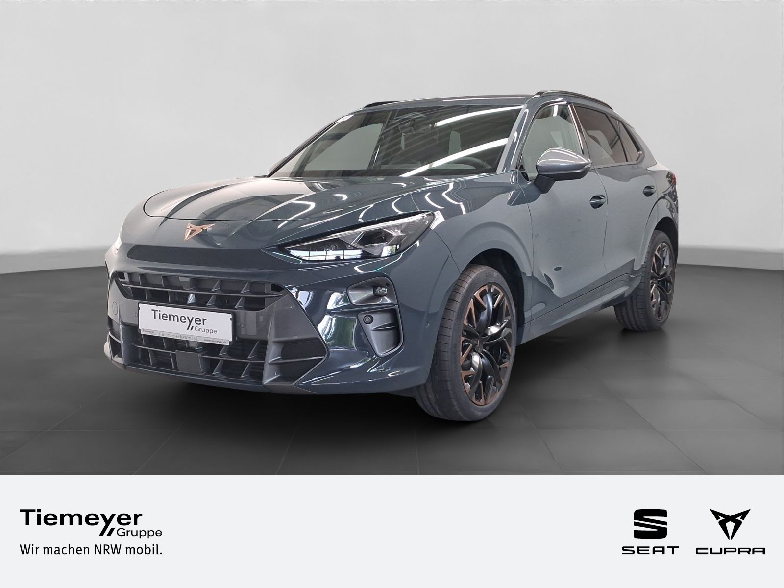 Cupra Terramar 2.0 TSI