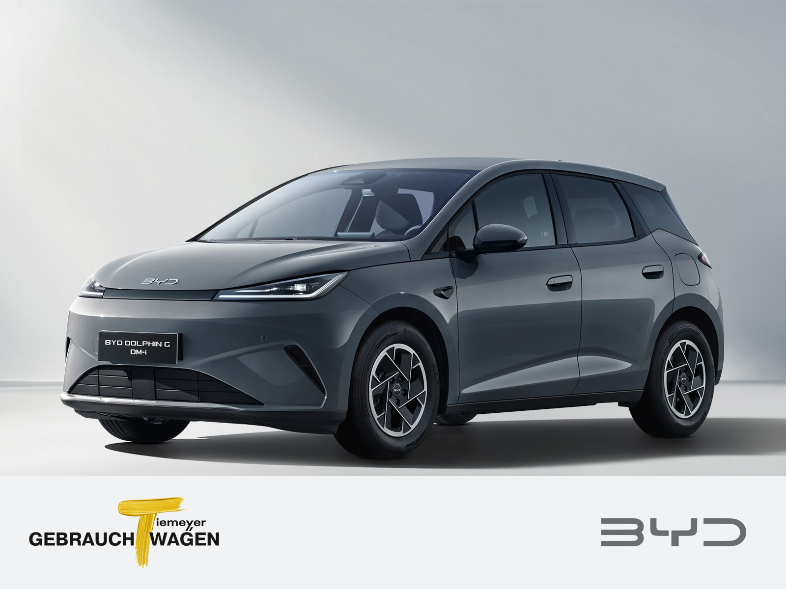 BYD  DOLPHIN G