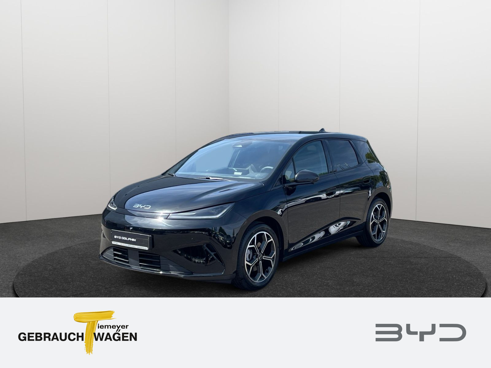 BYD DOLPHIN BYD DOLPHIN