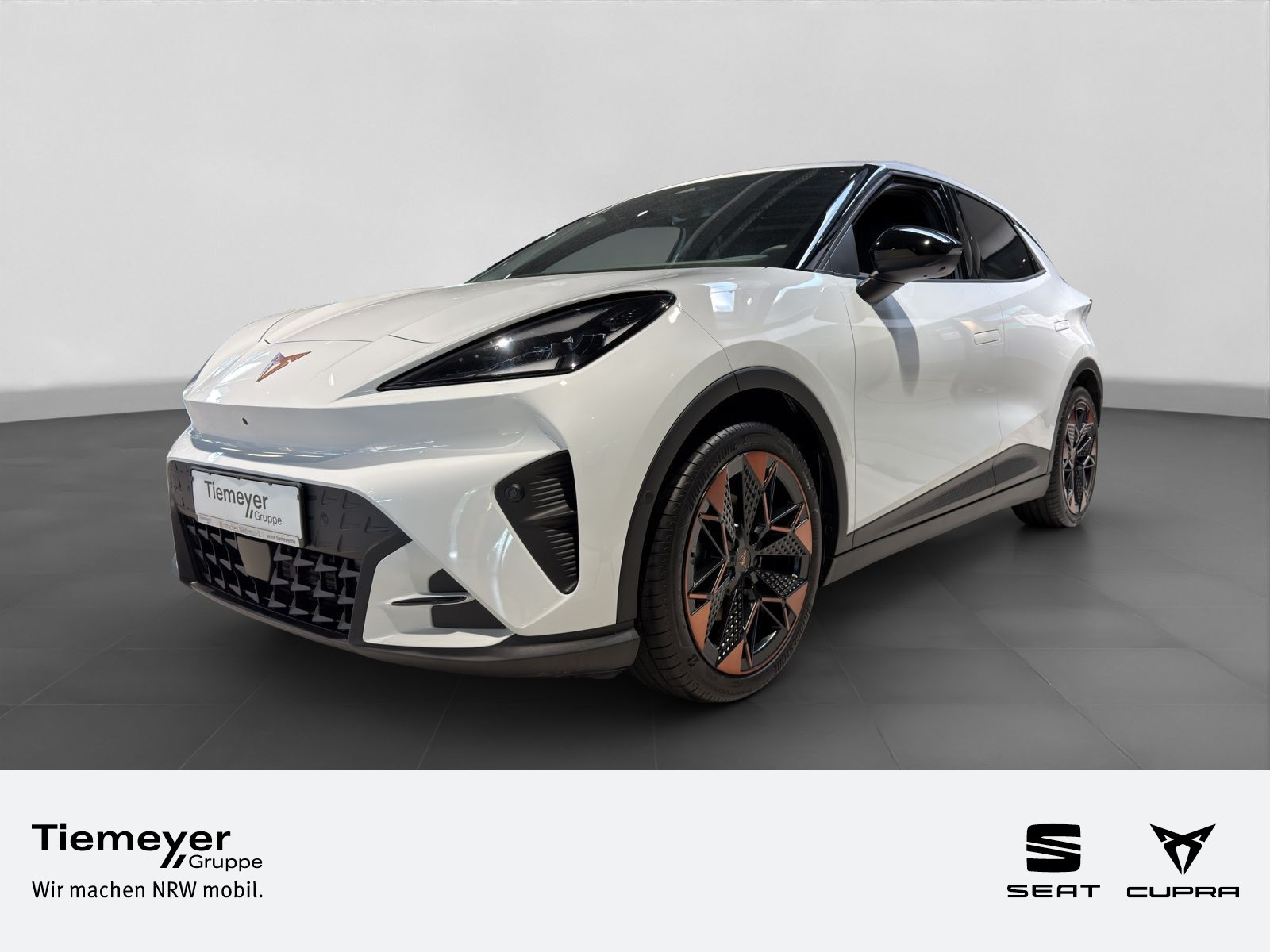 Cupra Raval ENDURANCE NAVI