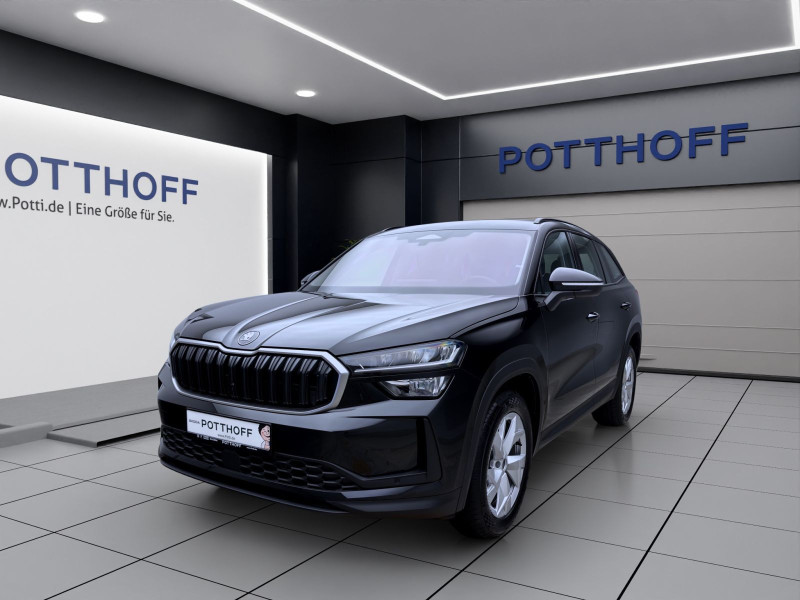 Bild 1: Škoda KODIAQ SELECTION AHK NAV KAM pACC WINTER SPURWECHSEL