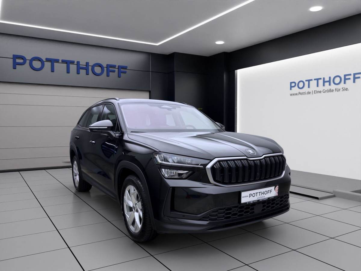 Thumb 6: Škoda KODIAQ SELECTION AHK NAV KAM pACC WINTER SPURWECHSEL
