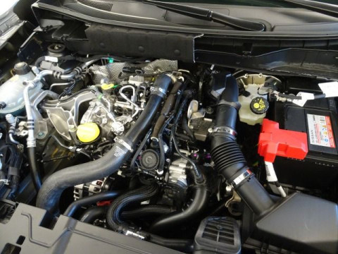 Ansicht 19 - Gebrauchtwagen Fahrzeug, Modell Juke der Marke Nissan von Verkäufer Autohaus Ulrich GmbH