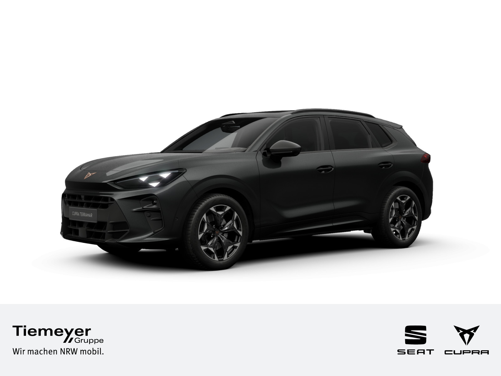 Cupra Terramar 2.0 TSI