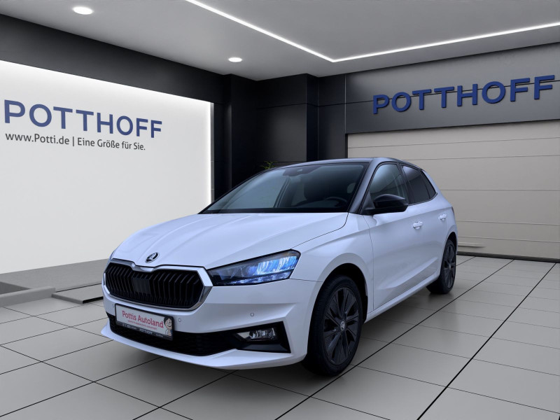 Bild 1: Škoda Fabia 1.0 TSI DSG STYLE NAVI PDC SITZHZG LED