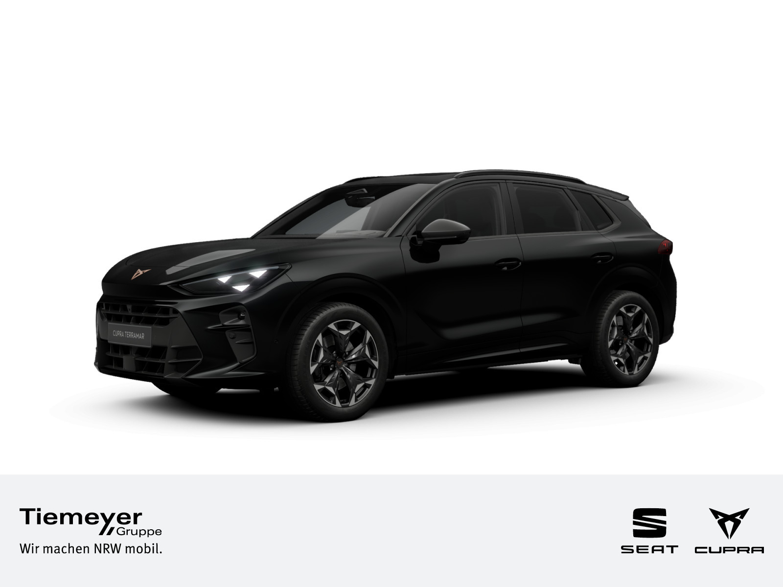 Cupra Terramar 2.0 TSI