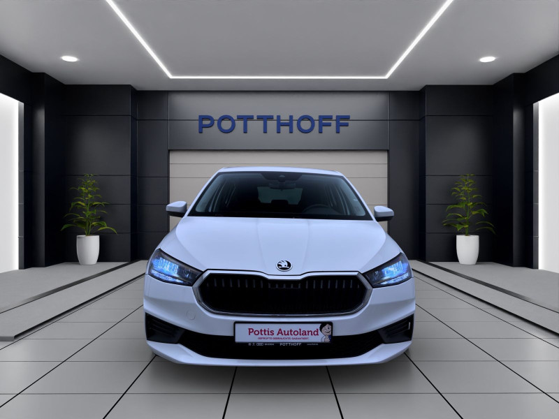 Bild 7: Škoda Fabia 1.0 MPI ACTIVE PDC LED SHZG SWING