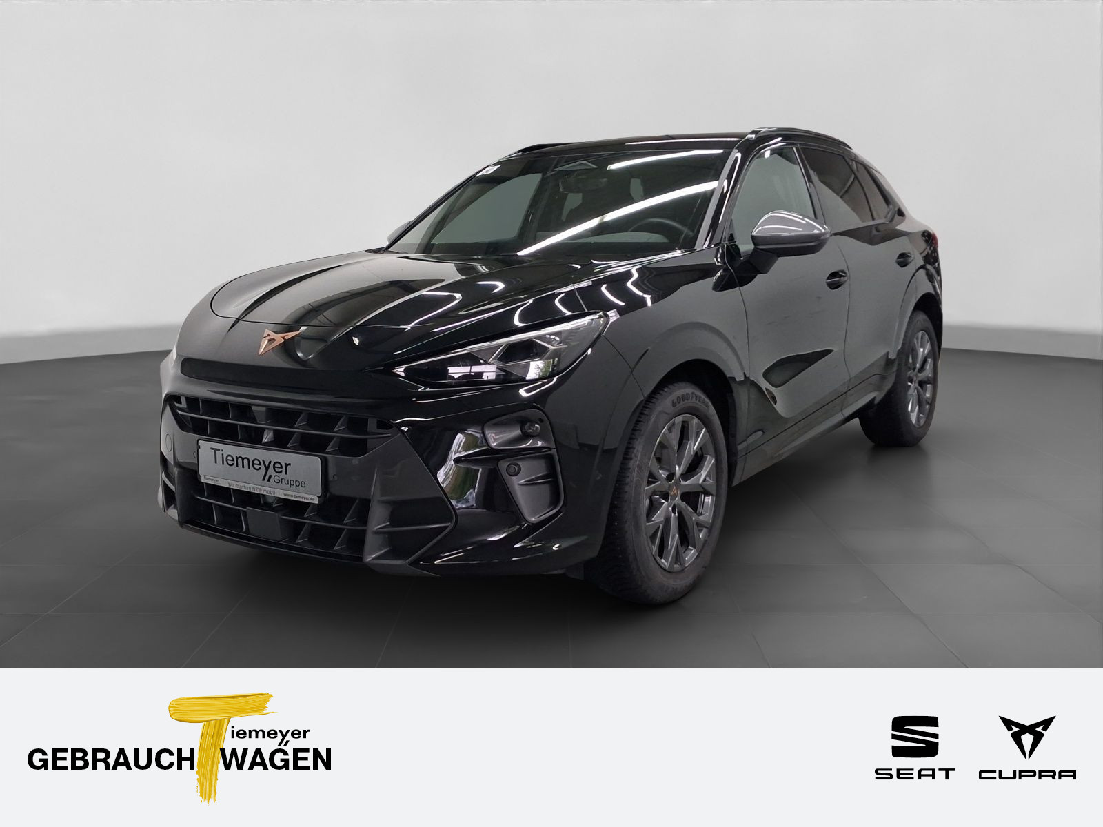Cupra Terramar 2.0 TSI Cupra Terramar 2.0 TSI