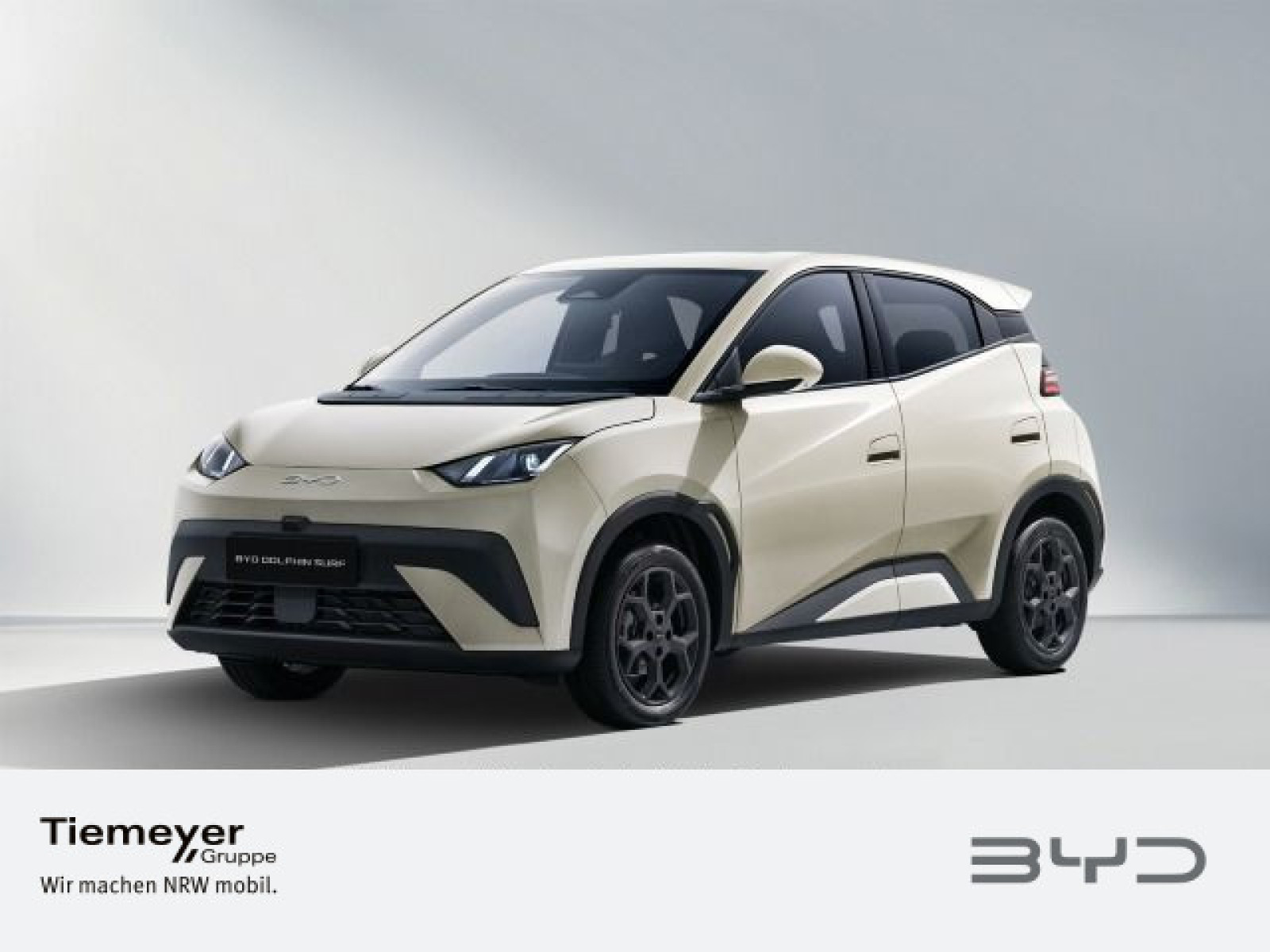 BYD DOLPHIN SURF Active
