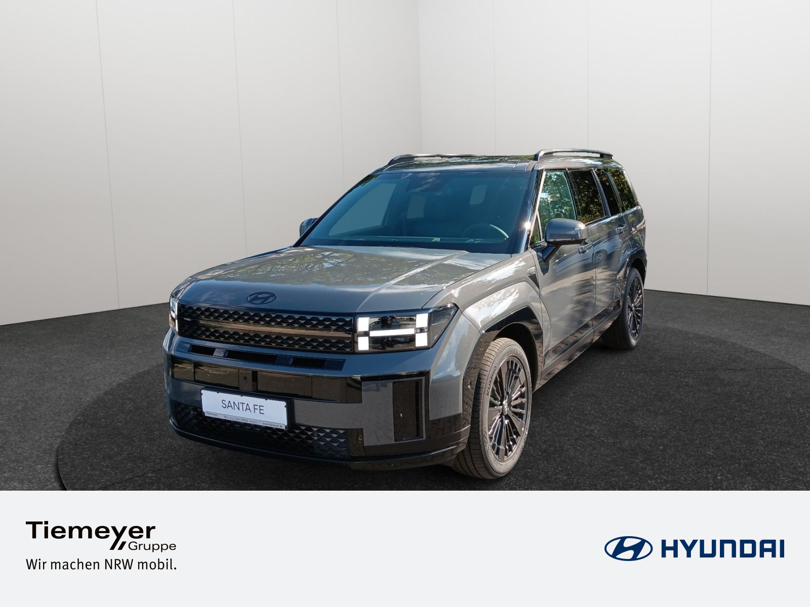 Hyundai SANTA FE HEV