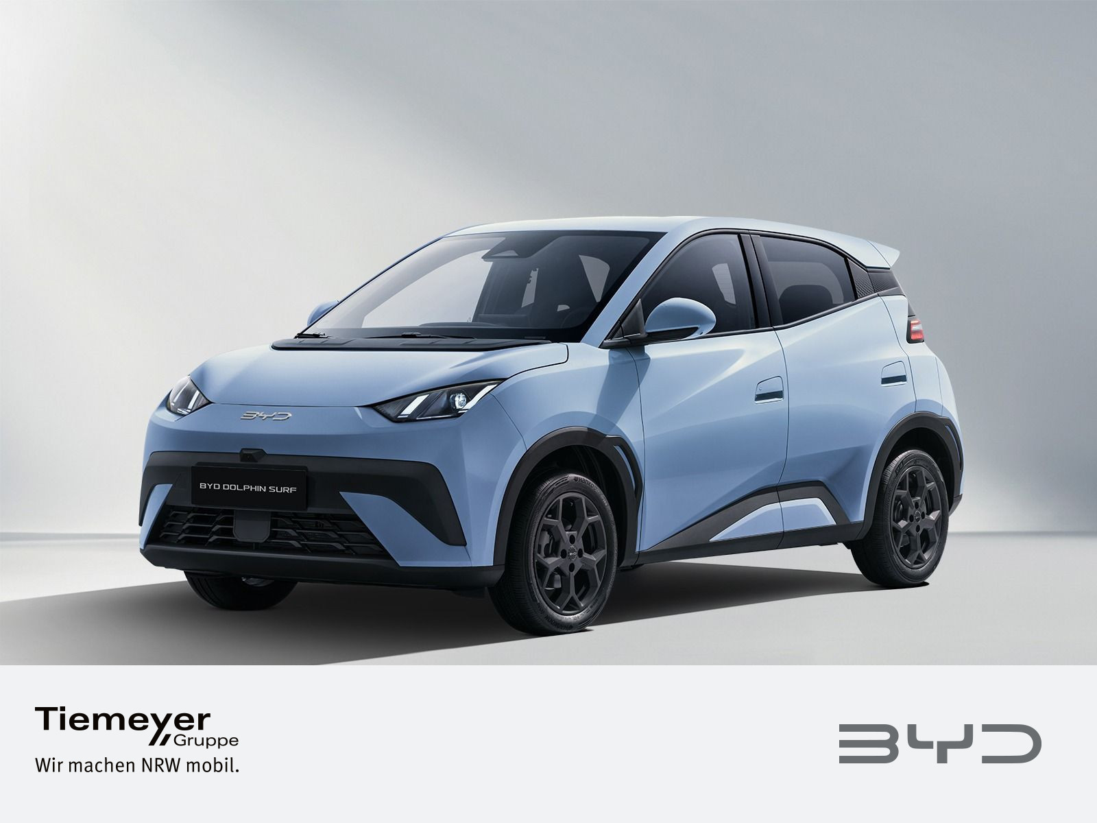BYD DOLPHIN SURF Boost