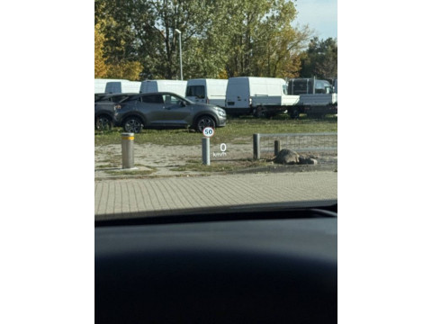 Ansicht 34 - Gebrauchtwagen Fahrzeug, Modell Qashqai der Marke Nissan von Verkäufer K&S Oder/Spree Autohandels.mbH