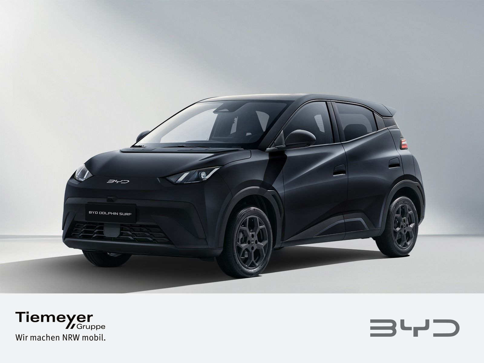 BYD DOLPHIN SURF BYD BYD DOLPHIN SURF BYD