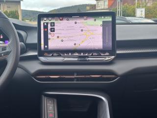 Cupra Terramar VZ – image 6 of 16